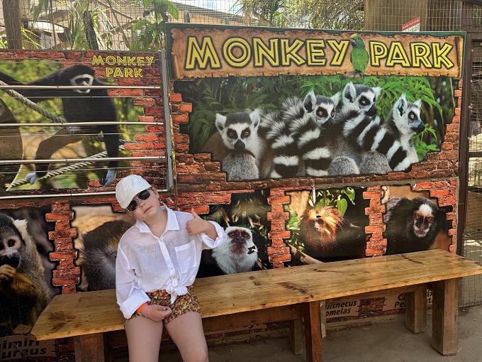WHY THE MONKEY PARK IN TENERIFE IS A GREAT DAY OUT